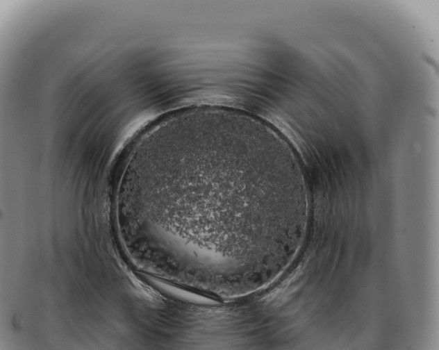 X0000096491115200801311612