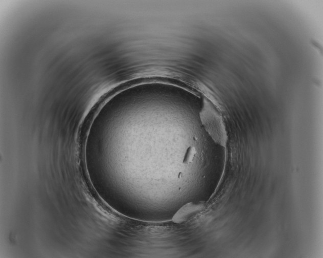 X0000096491116200801311612