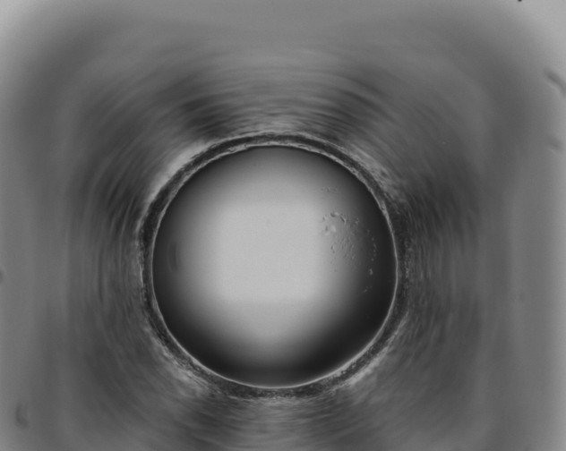 X0000096491118200801311612