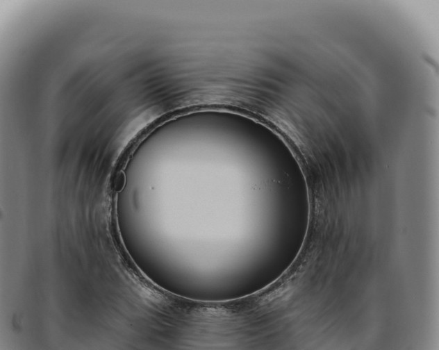 X0000096491119200801311612