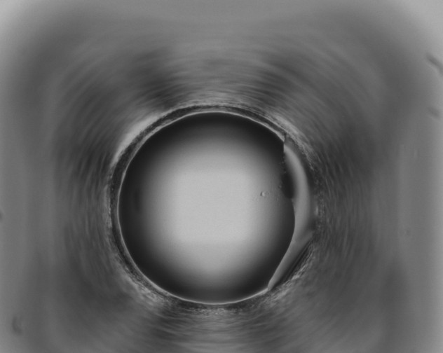 X0000096491120200801311612