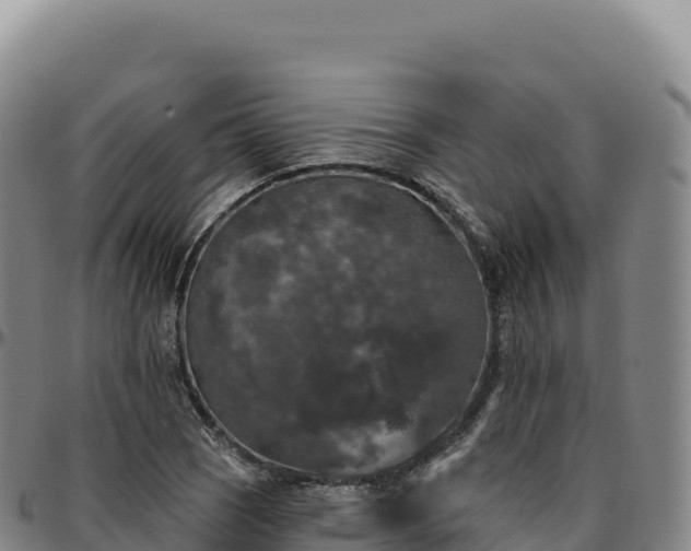 X0000096491121200801311612