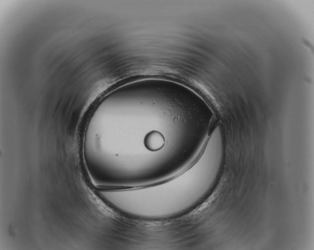 X0000096491122200801311612