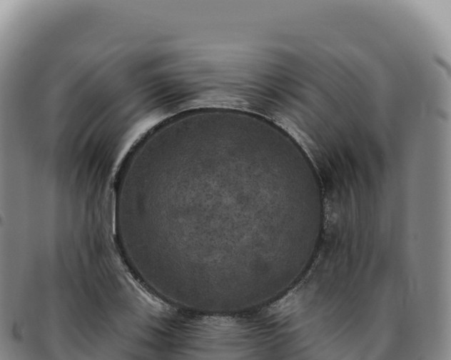 X0000096491123200801311612