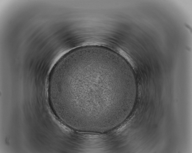 X0000096491124200801311612