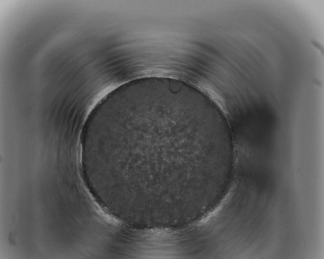 X0000096491125200801311612