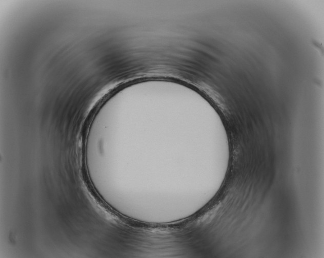 X0000096491126200801311612