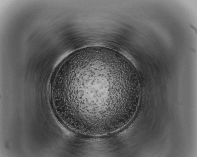 X0000096491127200801311612