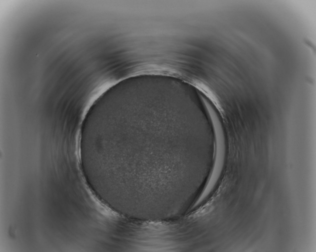 X0000096491128200801311612