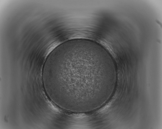 X0000096491129200801311612