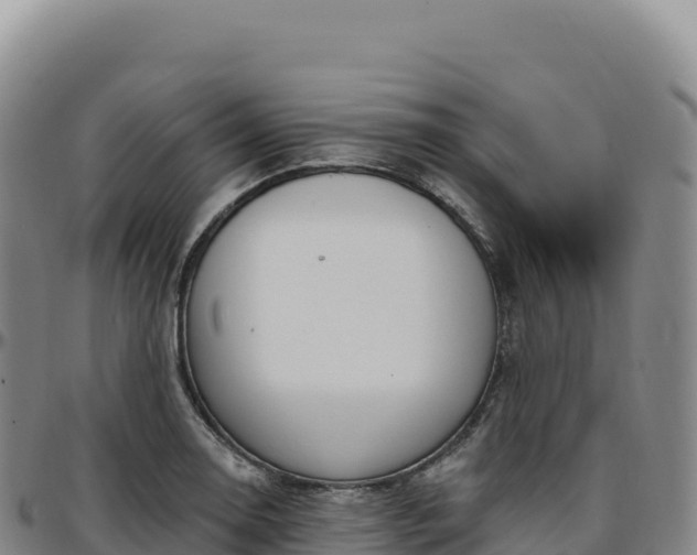 X0000096491130200801311612