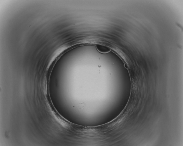 X0000096491131200801311612