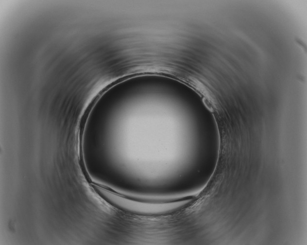 X0000096491132200801311612