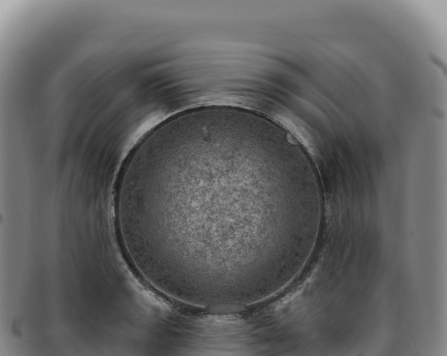 X0000096491133200801311612