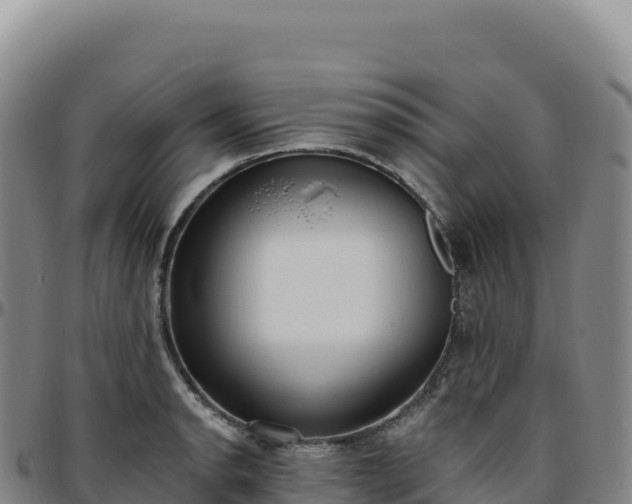 X0000096491134200801311612