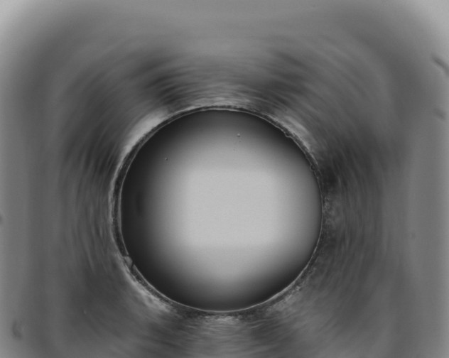 X0000096491135200801311612