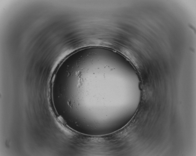 X0000096491136200801311612