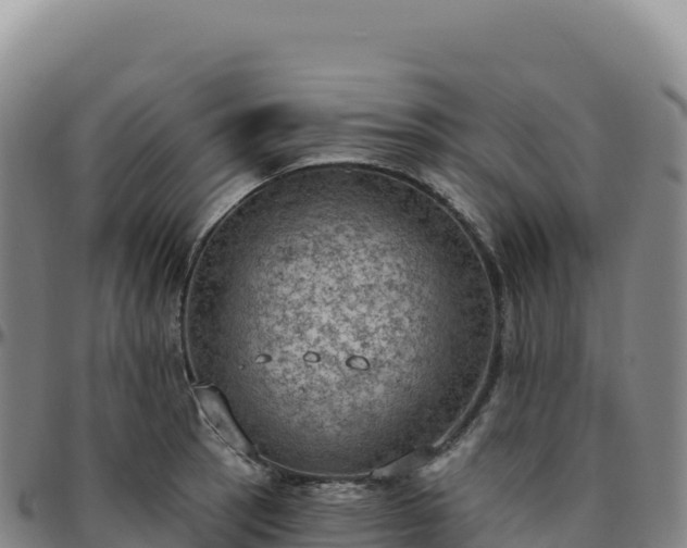 X0000096491137200801311612