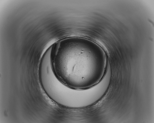 X0000096491138200801311612