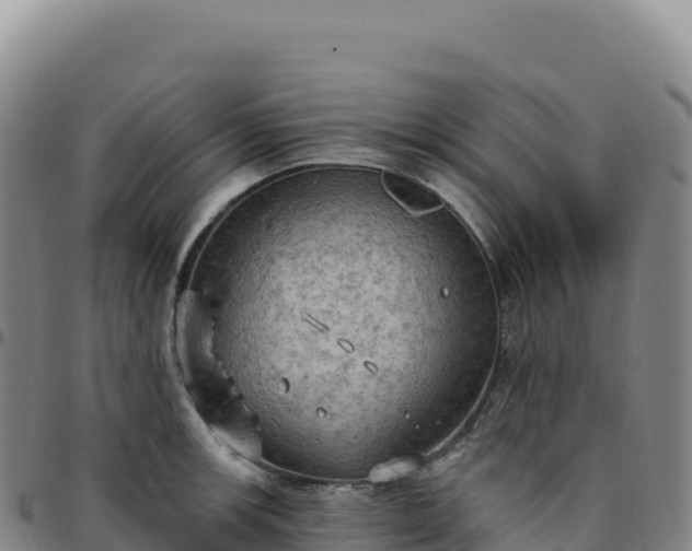 X0000096491139200801311612