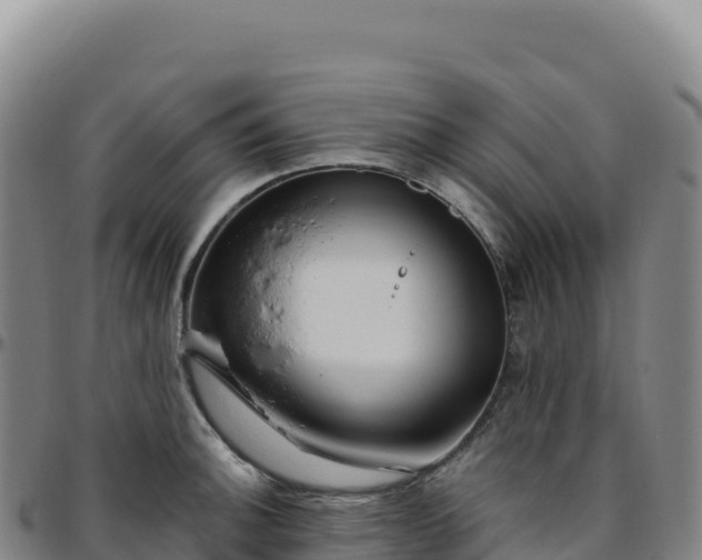 X0000096491140200801311612