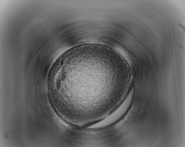 X0000096491141200801311612