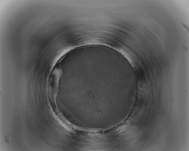 X0000096491142200801311612