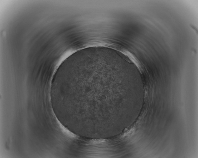 X0000096491143200801311612