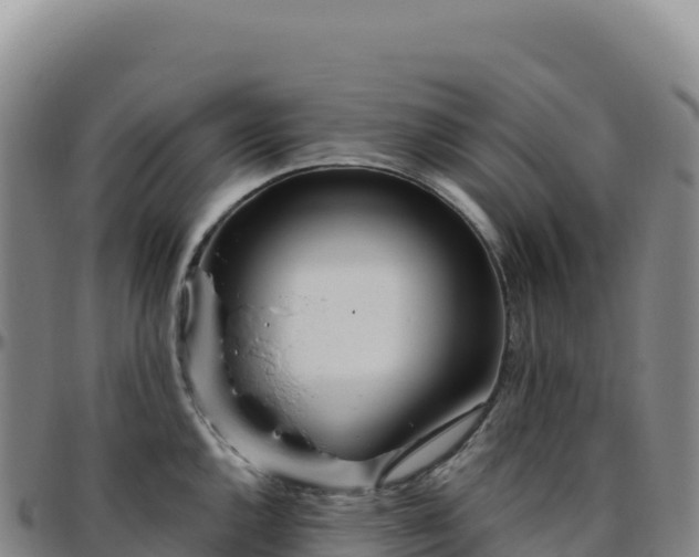 X0000096491144200801311612