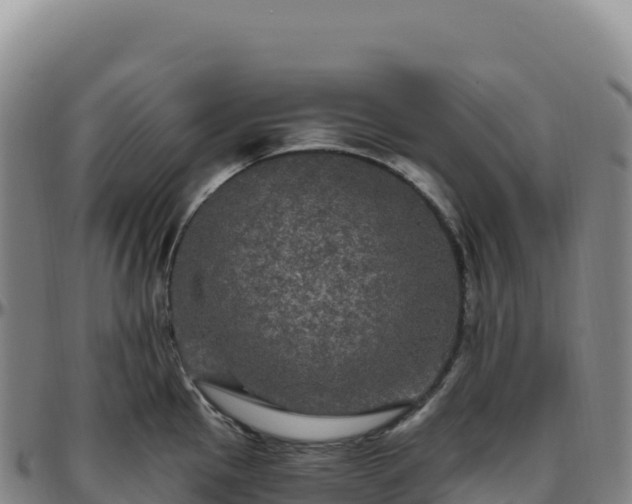 X0000096491145200801311612