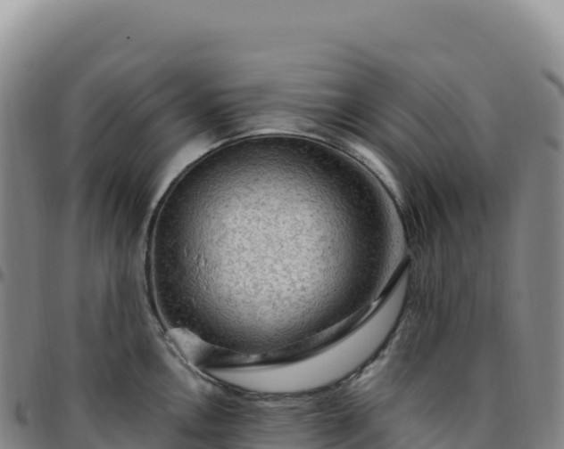 X0000096491146200801311612