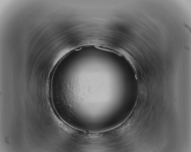 X0000096491147200801311612