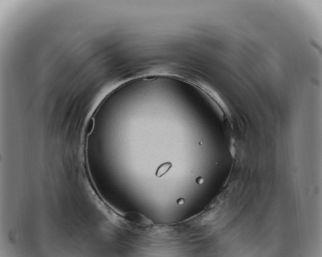 X0000096491148200801311612