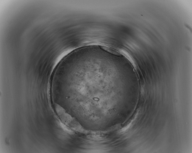 X0000096491149200801311612