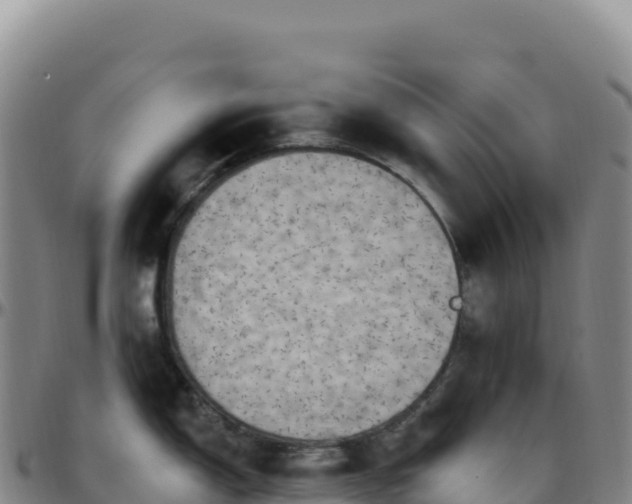 X0000096491150200801311612