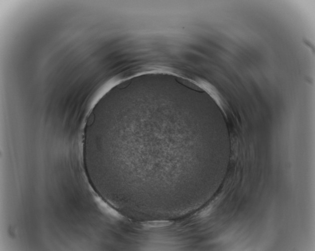 X0000096491151200801311612