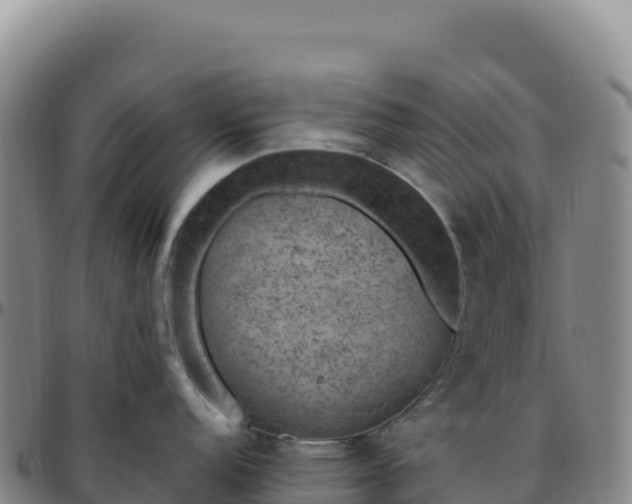 X0000096491152200801311613