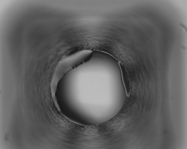 X0000096491153200801311612