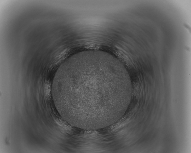 X0000096491154200801311612