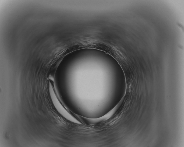 X0000096491156200801311612