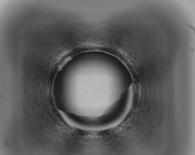 X0000096491157200801311612