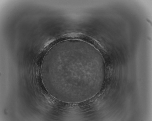 X0000096491158200801311612