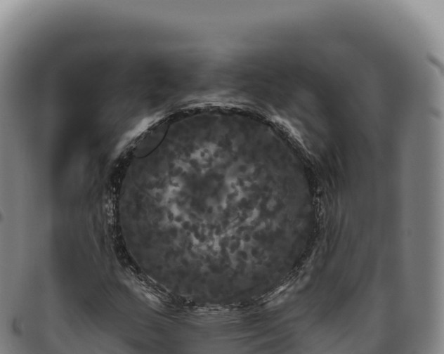 X0000096491159200801311612