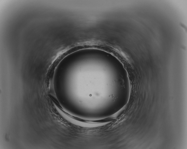 X0000096491160200801311612