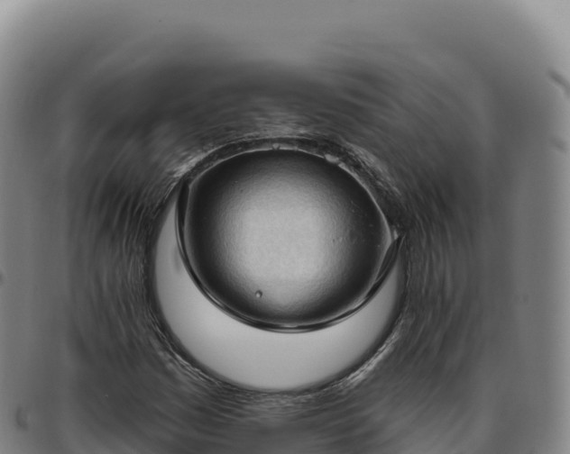 X0000096491161200801311612