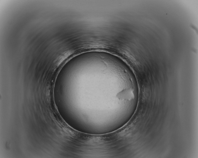 X0000096491162200801311612