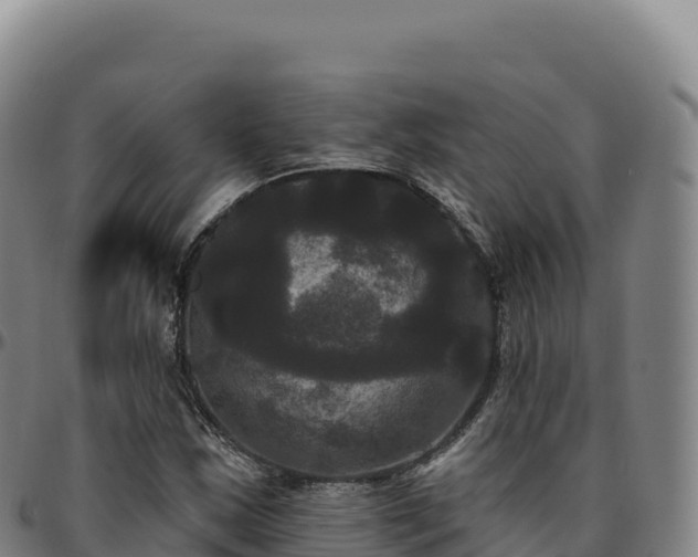 X0000096491163200801311612