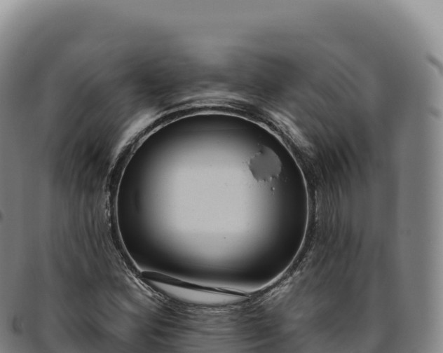 X0000096491164200801311612