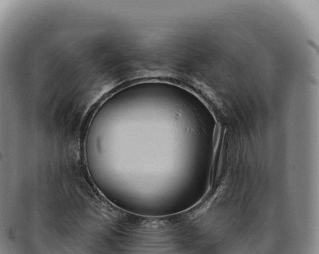 X0000096491165200801311612