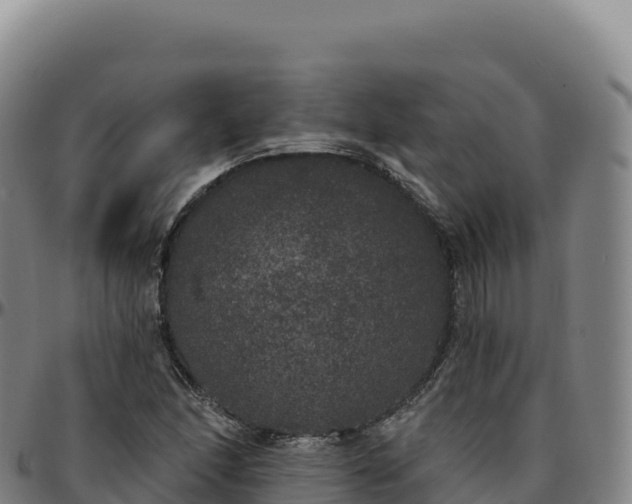 X0000096491166200801311612